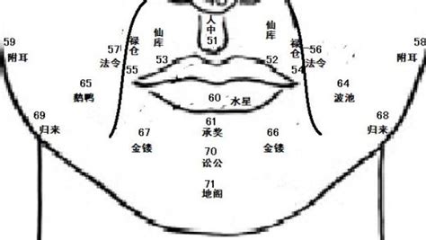 面像 鼻子|麦玲玲面相讲座之 鼻子 – 人相学